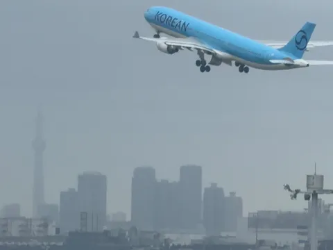 都心を抜ける蒼い翼