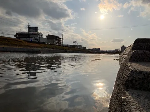 夕暮れの水面に映る光