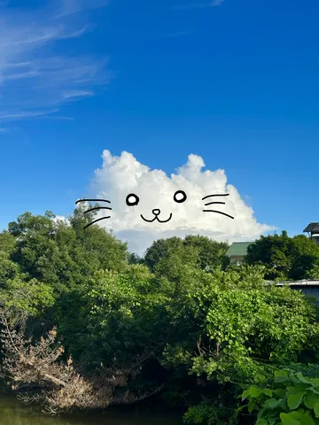 お茶目な表情の雲のネコ