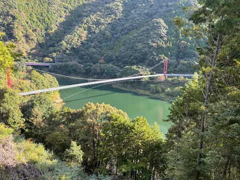 緑深き渓谷を渡る吊り橋