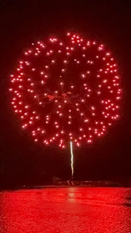 夜空に咲いた、赤き大輪の花