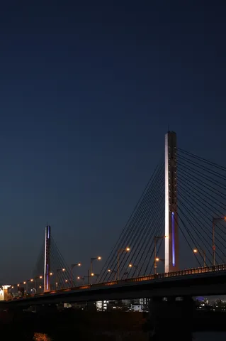 蒼と灯が織りなす夜景