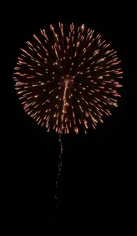 夜空に咲いた一瞬の花火