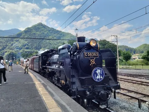 山を望む駅のSL