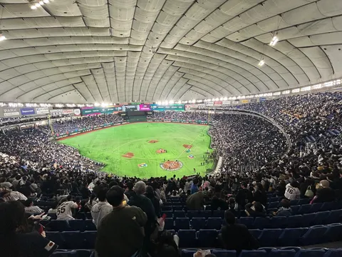 満ちる歓声と球場の光
