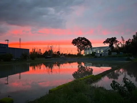 夕焼け空が映る田んぼの風景