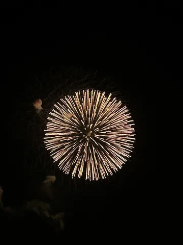 夜空に咲く、光の華