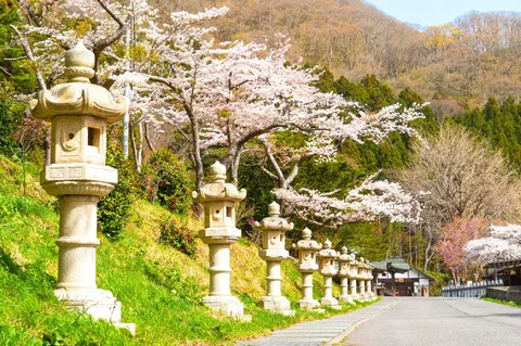春の寺社に並ぶ石灯籠