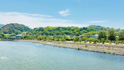 穏やかな川辺の散歩道