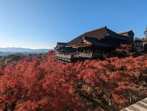 紅葉に浮かぶ木造舞台