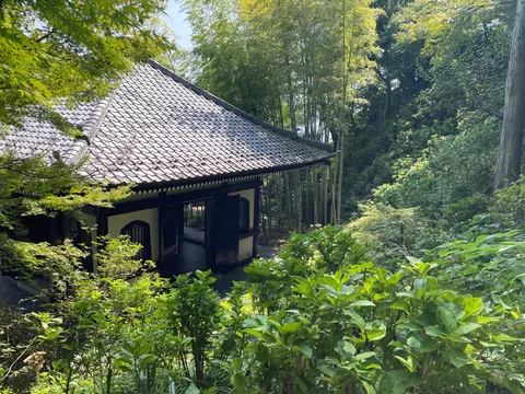 木漏れ日と静寂の寺院