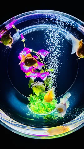 水槽に咲く幻想の花