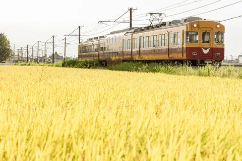 麦畑を走る黄と軌道