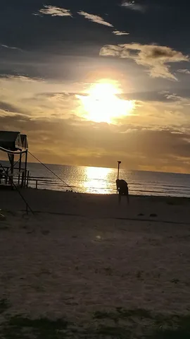 砂浜に立つ、夕日と人影