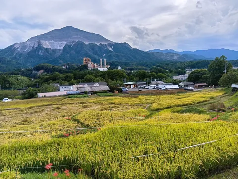 山と田んぼと工場、日本の風景