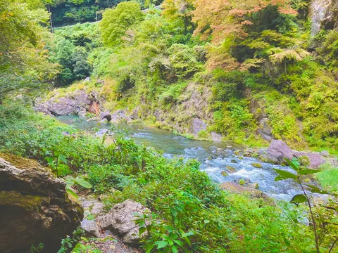 緑深き渓流のせせらぎ