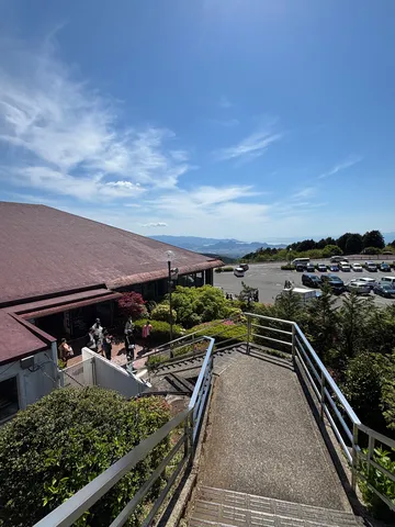 太陽まぶしい、さあどこ行く？