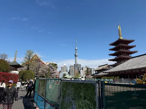 歴史と未来、浅草の高さ比べ