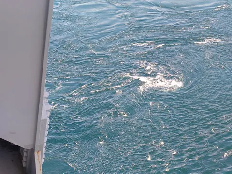 渦巻く水の躍動感