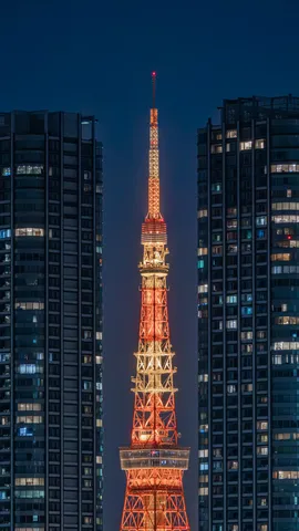 都市の狭間に輝く塔