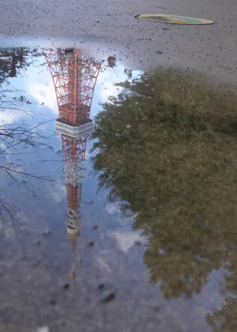 水たまりに映る都会の象徴