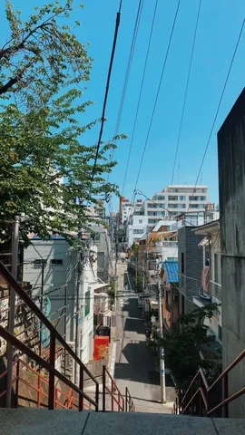 電線だらけの迷路を抜けて