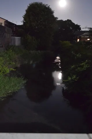 静寂の夜、月光の川面