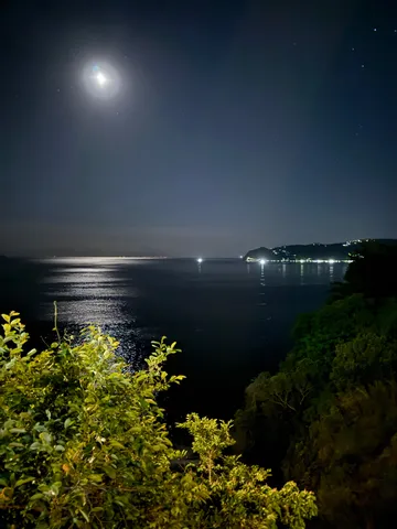 月明かりが照らす夜の海辺