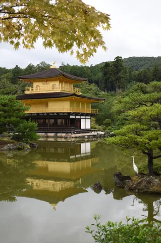 水鏡に浮かぶ黄金の静寂