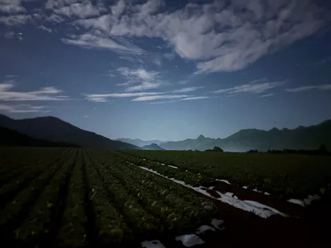 夜風と畑に映る山影
