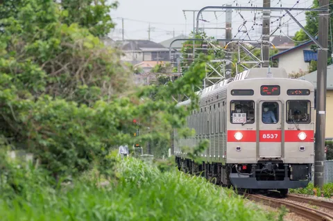 初夏の緑とローカル線