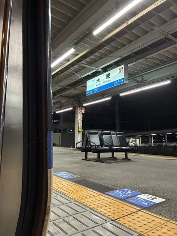 夜の待合の光と影
