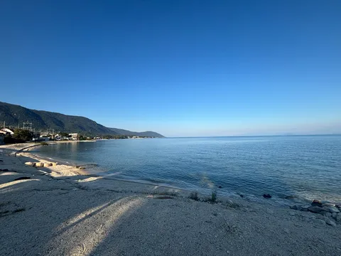 朝の海と山の静寂