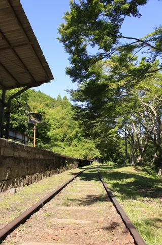 過ぎ去りし駅の、緑の残響