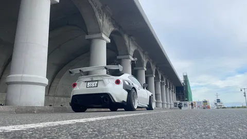 高架のアーチと白い翼