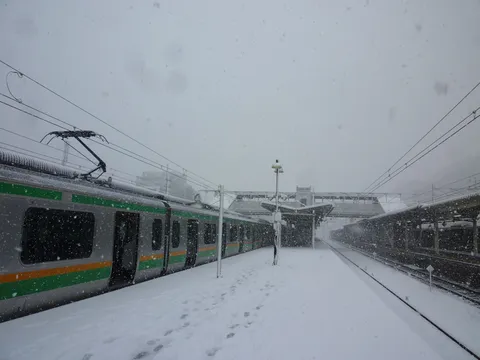 銀世界を駆ける緑の帯