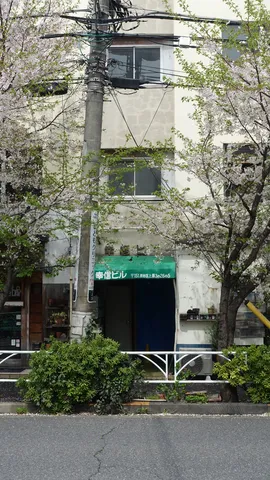 電線と桜、静かな街角の日常