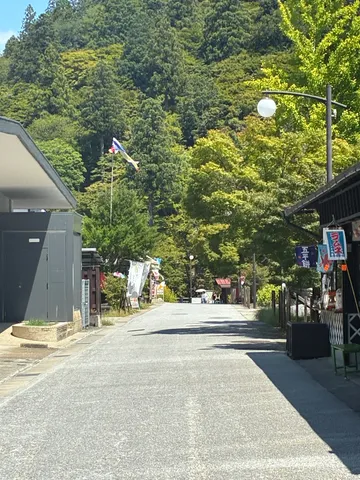 緑に包まれた坂道、鯉のぼりが風に泳ぐ