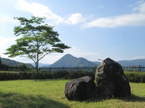 静寂の丘、古木と岩の物語