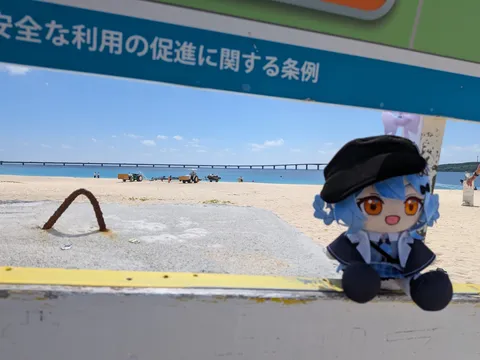 海とぬいぐるみの夏風景