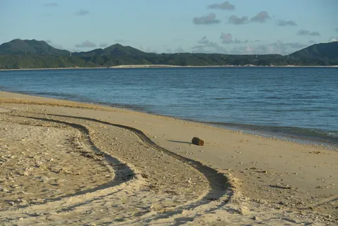 潮風と砂の軌跡