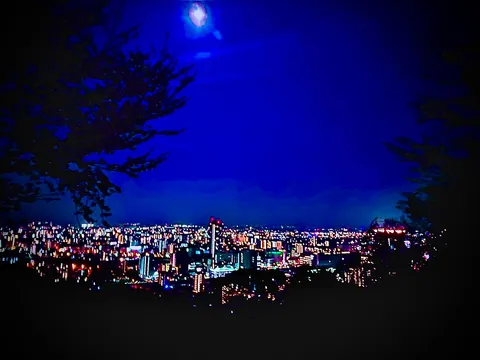 深い青に包まれた街の輝き