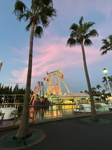 twilight ride with palms