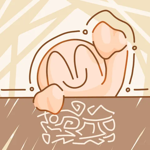 優しく包み込むような安心感