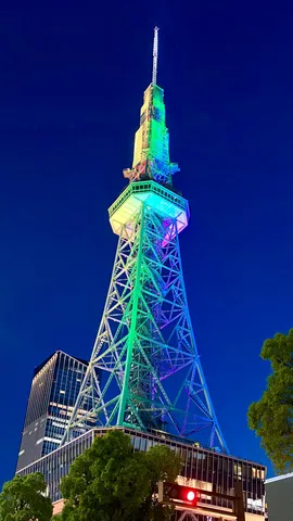 夜を彩る光のランドマーク