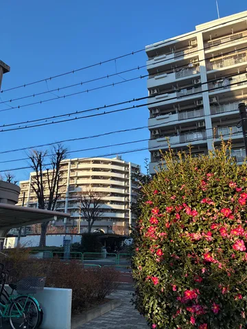 青空と花咲く街角