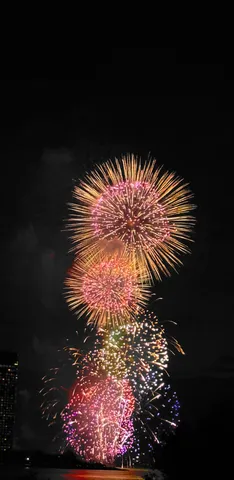 夜空に咲く華