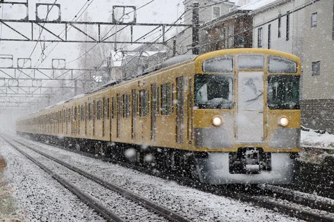 銀世界を行く列車