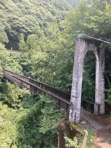 緑深き森の吊り橋
