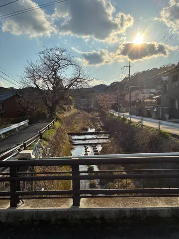 冬の陽光と小川のせせらぎ